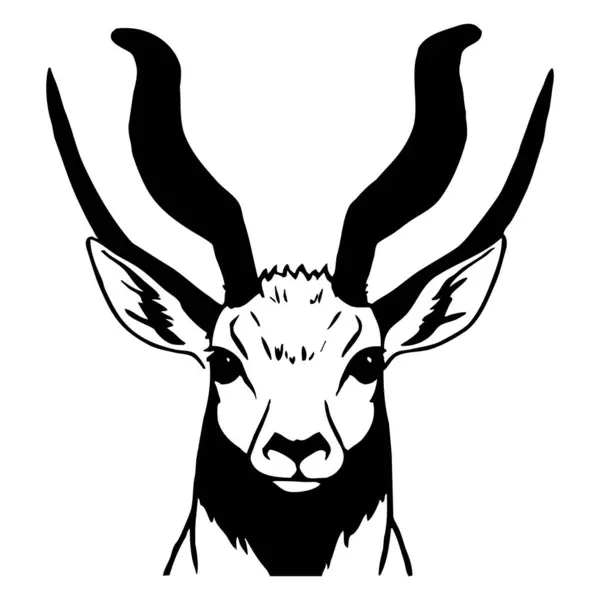 Schwarze Gazelle Auf Weißem Hintergrund Animal Illustration — Stockfoto