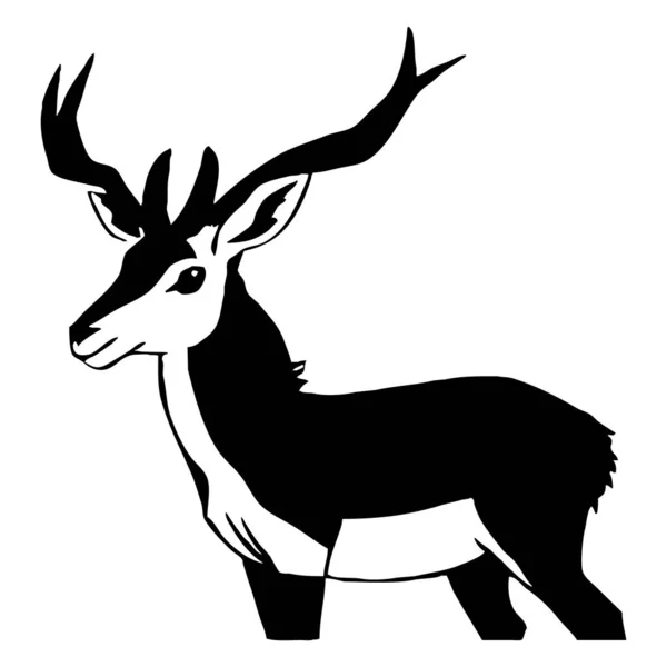 白色背景上的黑色羚羊 动物图解 — 图库照片