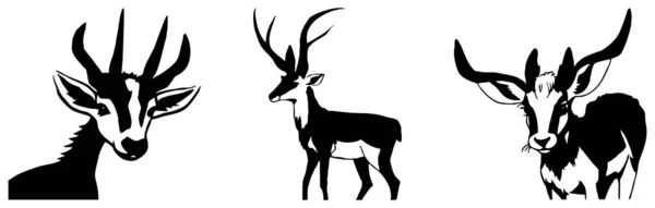 Zwarte Gazelle Een Witte Achtergrond Dierenillustratie — Stockfoto
