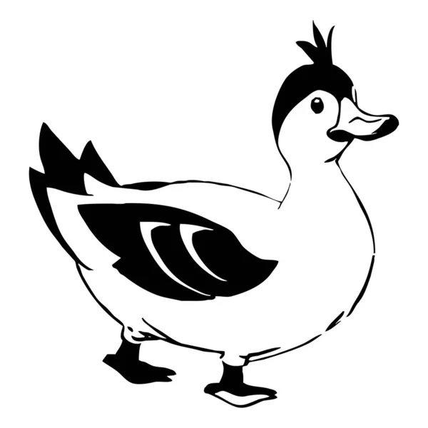 Pato Arte Línea Blanco Negro Diseño Logotipo Para Uso Gráficos —  Fotos de Stock
