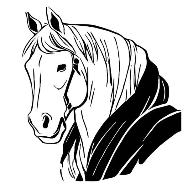 白色背景的黑马 动物线条艺术 标志设计 用于图形 T恤衫印刷 纹身图案 — 图库照片
