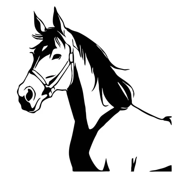 Černý Kůň Bílém Pozadí Zvířecí Linie Návrh Loga Pro Použití — Stock fotografie