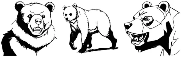 クマさん 黒と白のグラフィック グラフィックで使用するためのロゴデザイン Tシャツプリント タトゥーデザイン — ストック写真