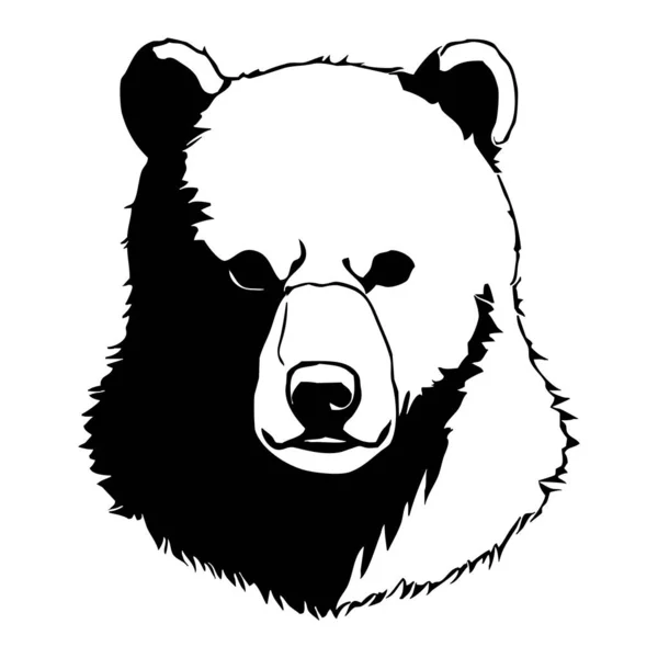 Αρκούδα Ασπρόμαυρα Γραφικά Σχεδιασμός Λογότυπου Για Χρήση Γραφικά Αποτύπωμα Shirt — Φωτογραφία Αρχείου