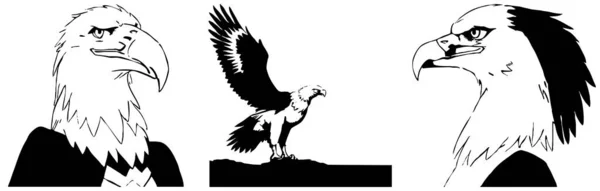 독수리 검은색과 그래픽 그래픽에서 사용하기위한 디자인 티셔츠 디자인 — 스톡 사진