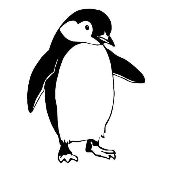 Penguin . Black and white graphics. Logo design for use in graphics. T-shirt print, tattoo design.