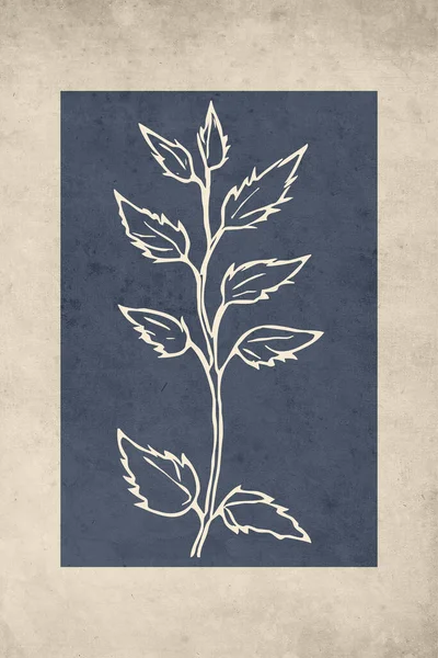 Ilustração Botânica Imprimível Decoração Casa Estilo Rústico Decoração Parede Imagem — Fotografia de Stock