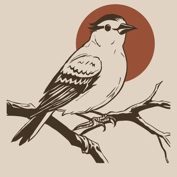 Bird Ilustración Botánica Animales Línea Arte Diseño Logotipo Para Uso —  Fotos de Stock