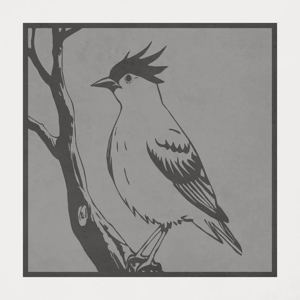 Pták Botanická Ilustrace Zvířata Čára Umění Návrh Loga Pro Použití — Stock fotografie