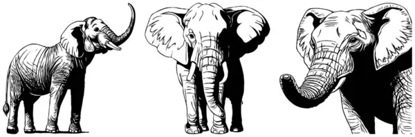 Svart Elefant Vit Bakgrund Djurkonst Logotypkonstruktion För Användning Grafik Tryck — Stockfoto