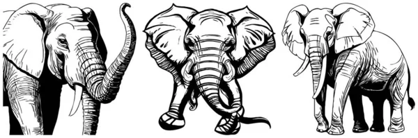 Μαύρος Ελέφαντας Λευκό Φόντο Ζωική Τέχνη Σχεδιασμός Λογότυπου Για Χρήση — Φωτογραφία Αρχείου