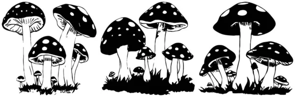 Mushrooms . Black and white line art. Logo design for use in graphics. T-shirt print, tattoo design.