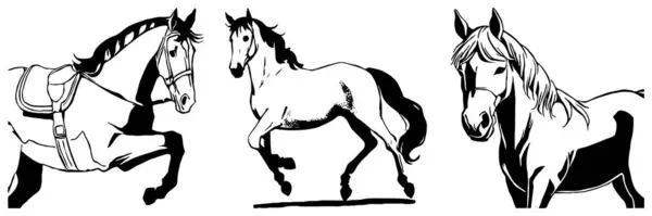 Cheval Noir Sur Fond Blanc Art Ligne Animale Conception Logo — Photo