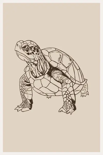 Turtle . Line art. Logo design for use in graphics. T-shirt print, tattoo design. Minimalist illustration for printing on wall decorations.