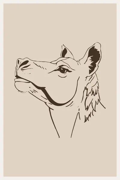 Camello Arte Línea Diseño Logotipo Para Uso Gráficos Impresión Camiseta — Foto de Stock