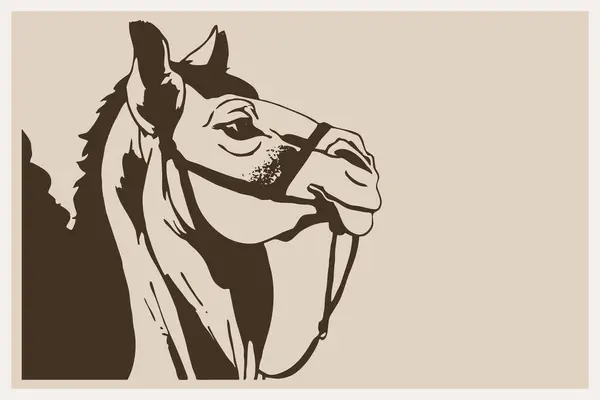 Верблюд Лінійне Мистецтво Дизайн Логотипу Використання Графіці Футболка Дизайн Татуювання — стокове фото
