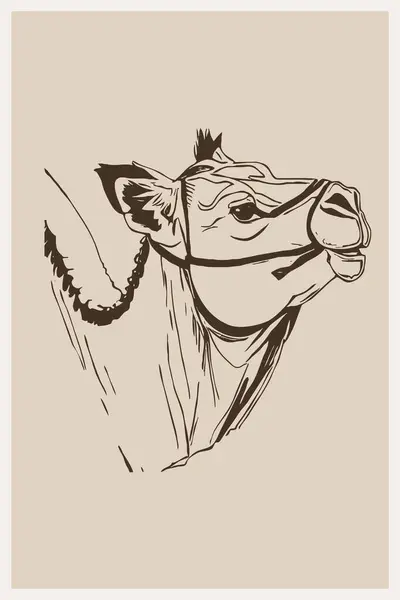 Wielbłąd Sztuka Linii Projekt Logo Stosowania Grafice Odcisk Koszulki Projekt — Zdjęcie stockowe