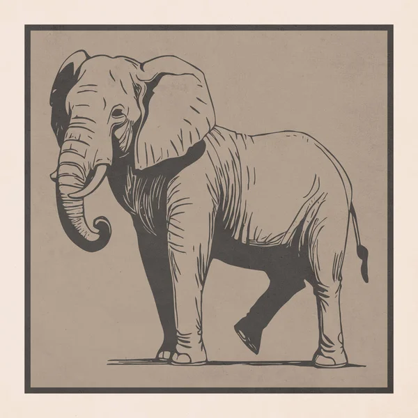Слон Животные Линии Искусства Логотип Дизайн Отпечаток Футболки Дизайн Татуировки — стоковое фото