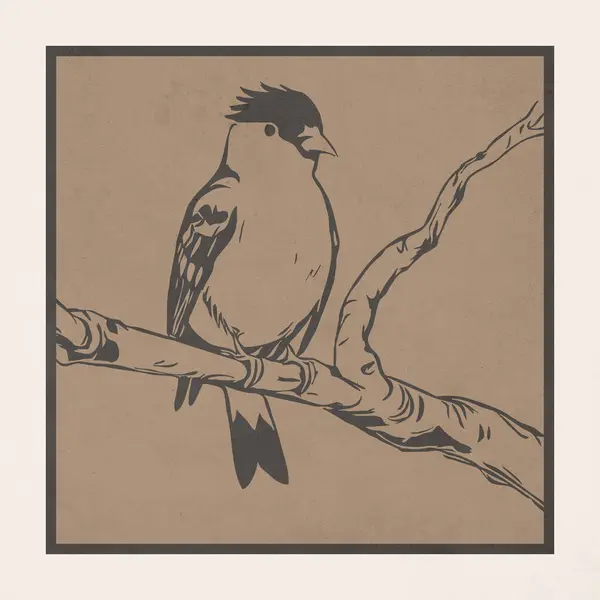 Pták Botanická Ilustrace Zvířata Čára Umění Návrh Loga Pro Použití — Stock fotografie