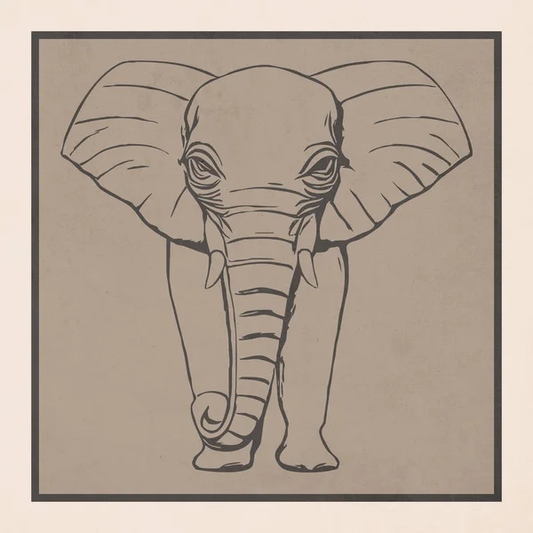 Elephant Animals Line Art Logo Design Shirt Print Tattoo Design — Stock Photo, Image