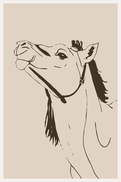 Camello Arte Línea Diseño Logotipo Para Uso Gráficos Impresión Camiseta — Foto de Stock