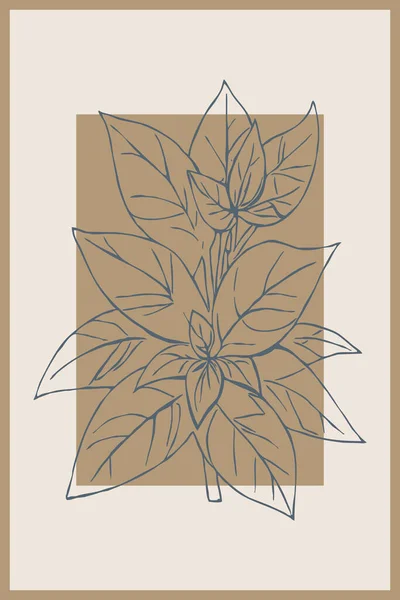 Botanische Illustratie Voor Het Bedrukken Wanddecoraties Een Minimalistische Stijl Gebruik — Stockfoto
