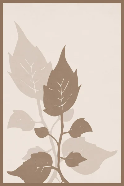 Botanical Illustration Printing Wall Decorations Minimalist Style Use Cover Wallpaper — Stock Photo, Image