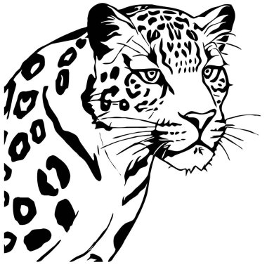Leopar. Çizgi çalışması. Grafiklerde kullanmak için logo tasarımı. Tişört izi, dövme tasarımı. Duvar dekorasyonlarına yazdırmak için minimalist illüstrasyon.