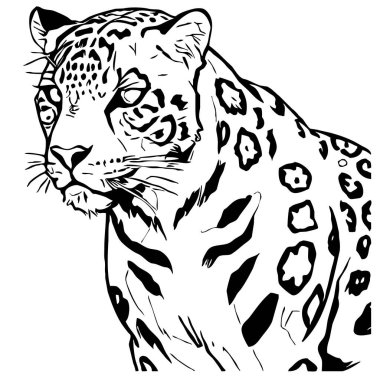 Leopar. Çizgi çalışması. Grafiklerde kullanmak için logo tasarımı. Tişört izi, dövme tasarımı. Duvar dekorasyonlarına yazdırmak için minimalist illüstrasyon.