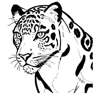 Leopar. Çizgi çalışması. Grafiklerde kullanmak için logo tasarımı. Tişört izi, dövme tasarımı. Duvar dekorasyonlarına yazdırmak için minimalist illüstrasyon.