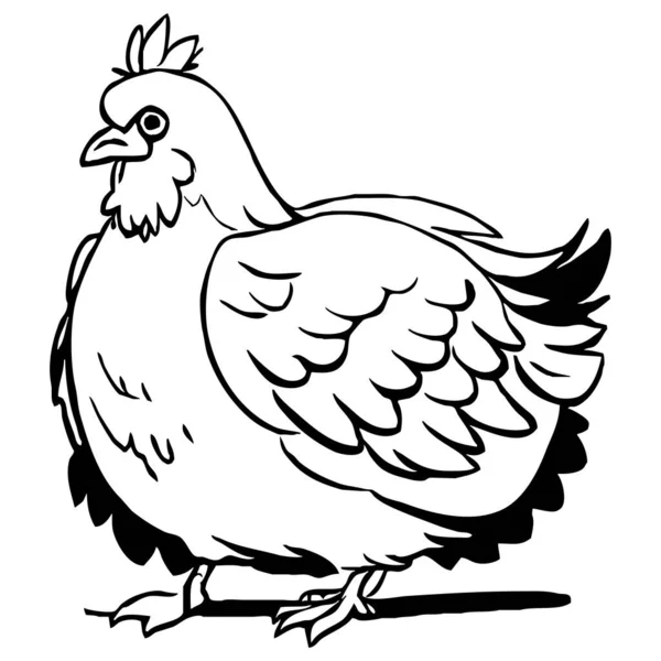 stock vector Hen . Black and white line art. Logo design for use in graphics. T-shirt print, tattoo design. 