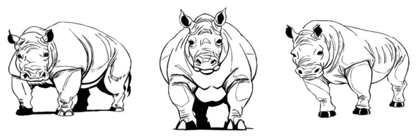 Rinoceronte Arte Línea Diseño Logotipo Para Uso Gráficos Impresión Camiseta — Archivo Imágenes Vectoriales
