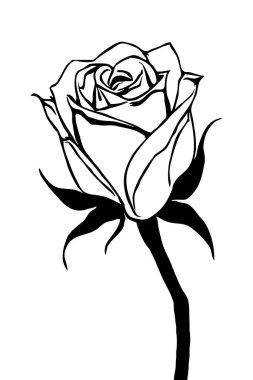 Gül. Siyah beyaz botanik deseni. Grafiklerde ve malzemelerde kullanmak için. Soyut bitki şekilleri. Duvar dekorasyonlarına yazdırmak için minimalist illüstrasyon.