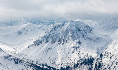 Polonya Tatra Dağları 'ndaki kış manzarası. Zakopane
