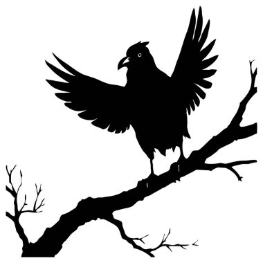 Beyaz arka planda siyah kuş. Hayvanlar çizgi sanatı. Grafiklerde kullanmak için logo tasarımı. Tişört izi, dövme tasarımı.. 