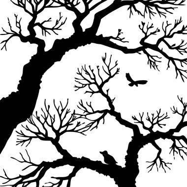 Siyah beyaz botanik deseni. Grafiklerde ve malzemelerde kullanmak için. Soyut bitki şekilleri. Duvar dekorasyonlarına yazdırmak için minimalist illüstrasyon.