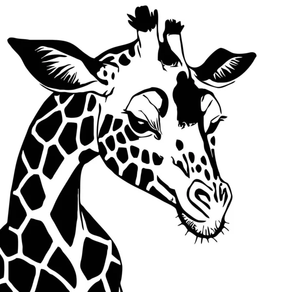 Black giraffe on a white background. Animal line art. Logo design, for use in graphics. Print for T-shirts, pattern for tattoos.