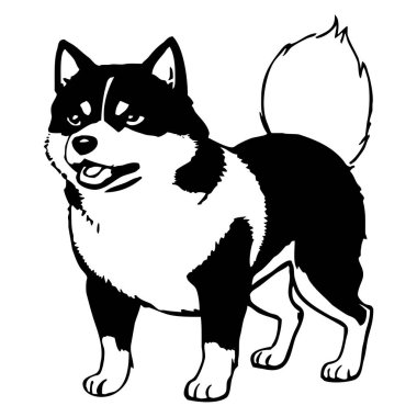 Sibirya Husky 'si. Siyah beyaz grafikler. Grafiklerde kullanmak için logo tasarımı. Tişört izi, dövme tasarımı.. 