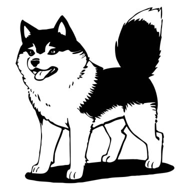 Sibirya Husky 'si. Siyah beyaz grafikler. Grafiklerde kullanmak için logo tasarımı. Tişört izi, dövme tasarımı.. 