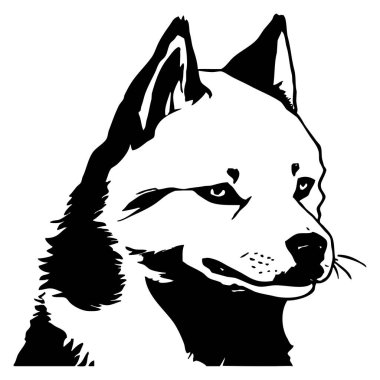 Sibirya Husky 'si. Siyah beyaz grafikler. Grafiklerde kullanmak için logo tasarımı. Tişört izi, dövme tasarımı.. 