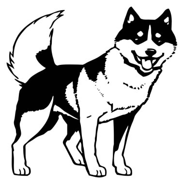 Sibirya Husky 'si. Siyah beyaz grafikler. Grafiklerde kullanmak için logo tasarımı. Tişört izi, dövme tasarımı.. 