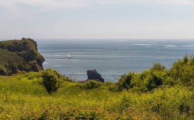 Brixham Devon, İngiltere, Avrupa. Güzel deniz manzarası. Güneşli bir günde deniz manzarası.