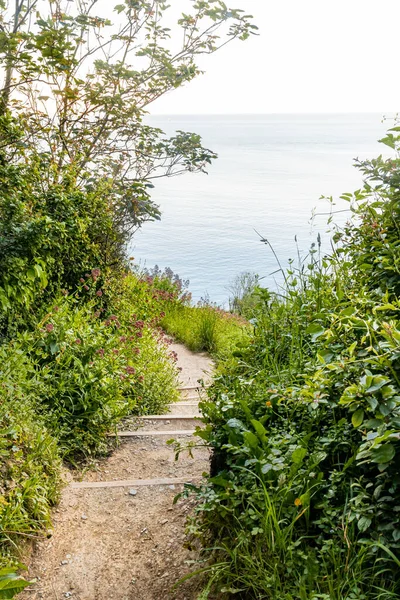 Brixham Devon, İngiltere, Avrupa. Güzel deniz manzarası. Güneşli bir günde deniz manzarası.