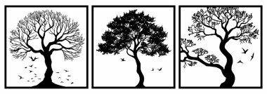 Siyah beyaz botanik desenli 3 set. Grafiklerde ve malzemelerde kullanmak için. Soyut bitki şekilleri. Duvar dekorasyonlarına asgari illüstrasyon. Ağaç