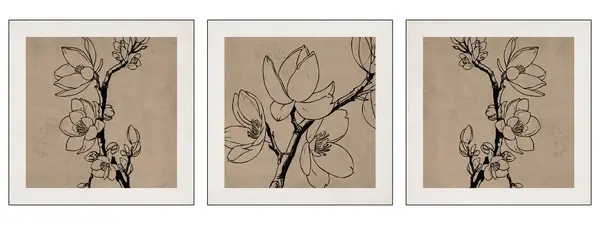 Set of 3 Printable botanical illustration. Rustic style home decor, wall decoration, picture in the frame. Grunge, vintage illustration. Magnolia flowers