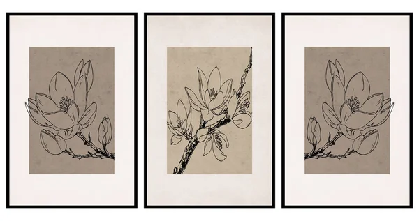 Set of 3 Printable botanical illustration. Rustic style home decor, wall decoration, picture in the frame. Grunge, vintage illustration. Magnolia flowers