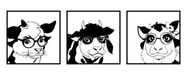 Cow with glasses. Line art. Logo design for use in graphics. T-shirt print, tattoo design. Minimalist illustration for printing on wall decorations.