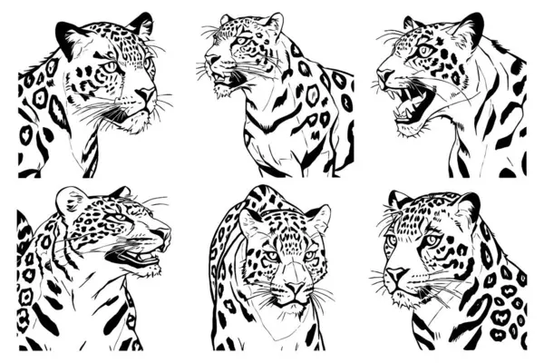 Leopard . Line art. Logo design for use in graphics. T-shirt print, tattoo design. Minimalist illustration for printing on wall decorations.
