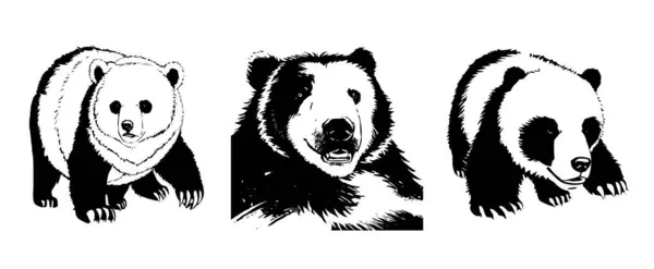 Bear. Black and white graphics. Logo design for use in graphics. T-shirt print, tattoo design.