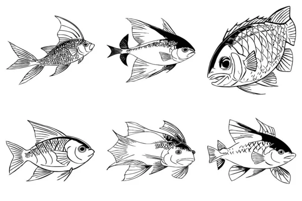 Fish. Line art. Logo design for use in graphics. T-shirt print, tattoo design. Minimalist illustration for printing on wall decorations.